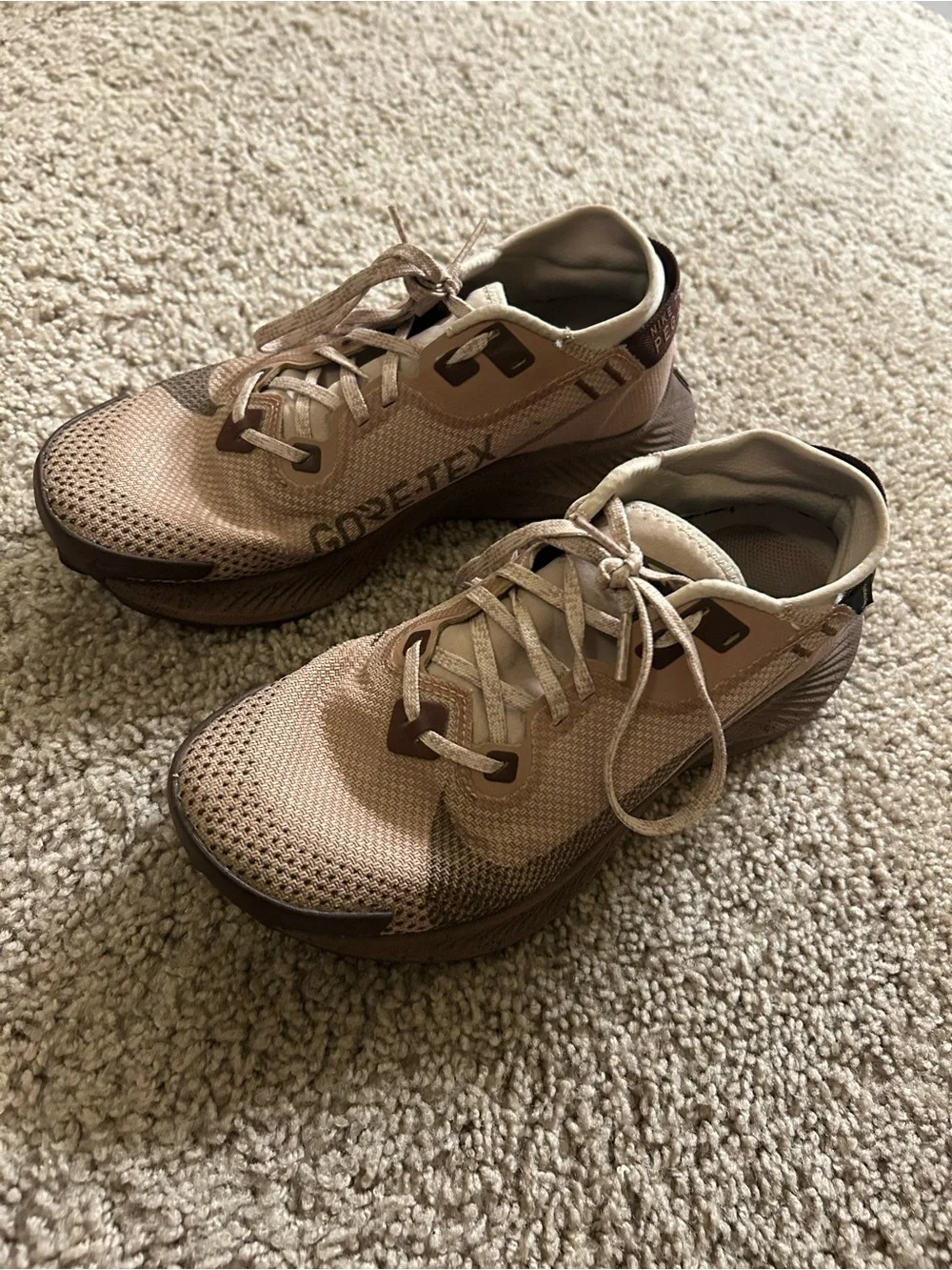 Nike Pegasus Trail 2 Gore-Tex Shoes Desert Dust Mauve Women’s Size 7.5